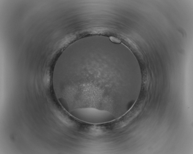X0000113230261200909101217