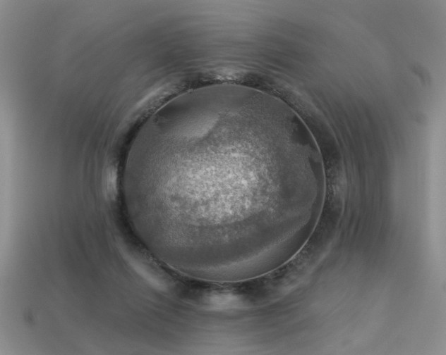 X0000113230262200909101217