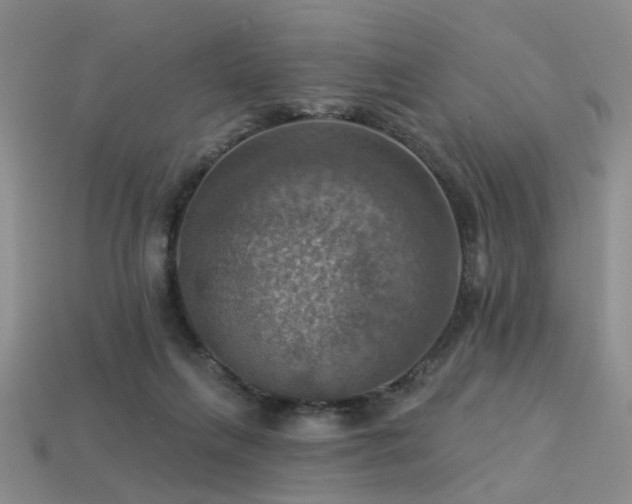 X0000113230263200909101217