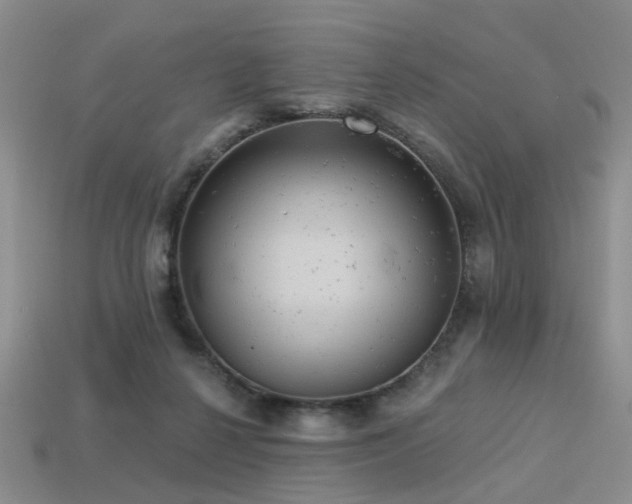 X0000113230264200909101217