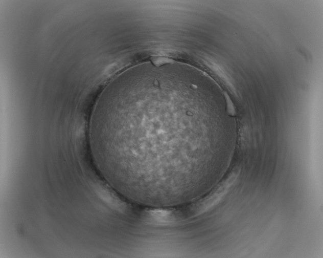 X0000113230265200909101217