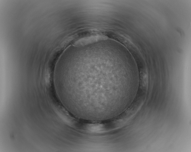 X0000113230266200909101217