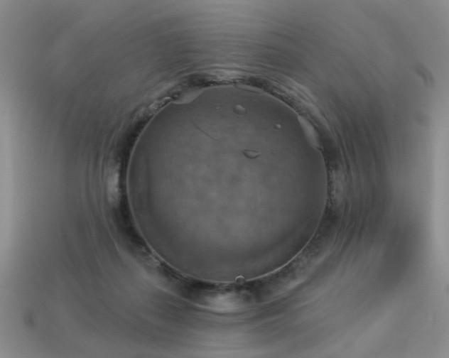 X0000113230267200909101217