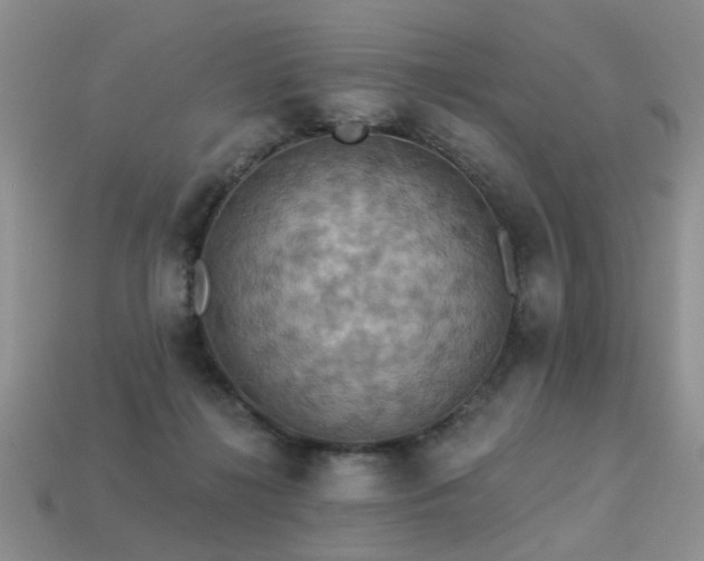 X0000113230268200909101217