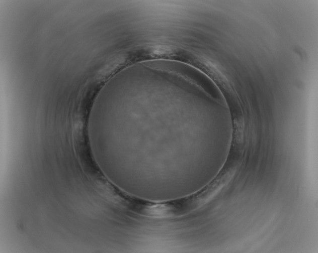X0000113230269200909101217