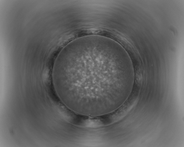 X0000113230270200909101217