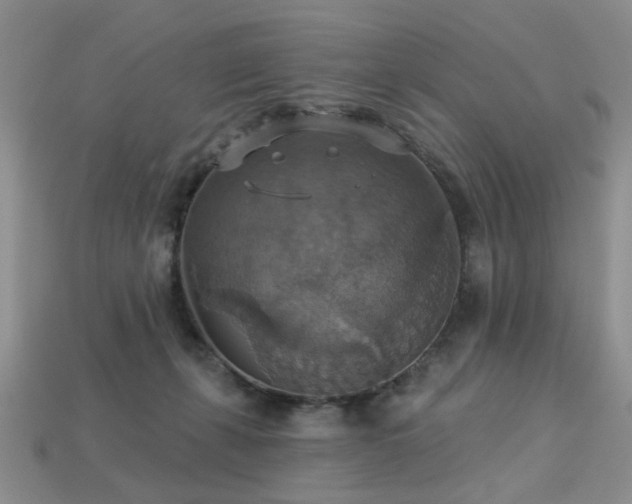 X0000113230271200909101217