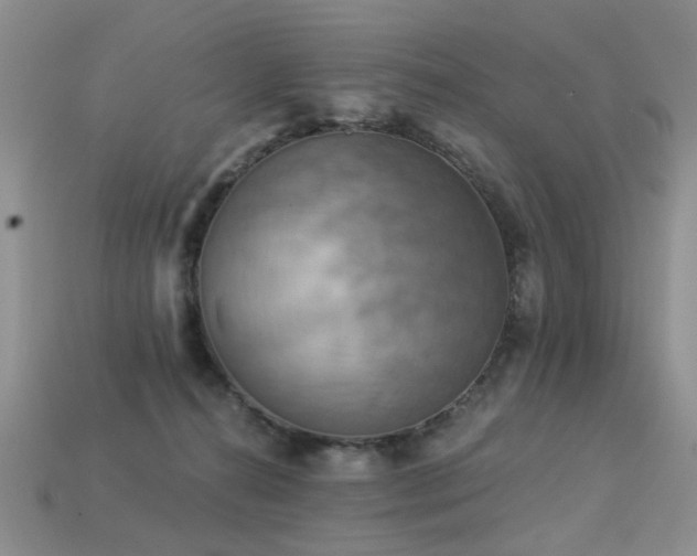X0000113230272200909101217