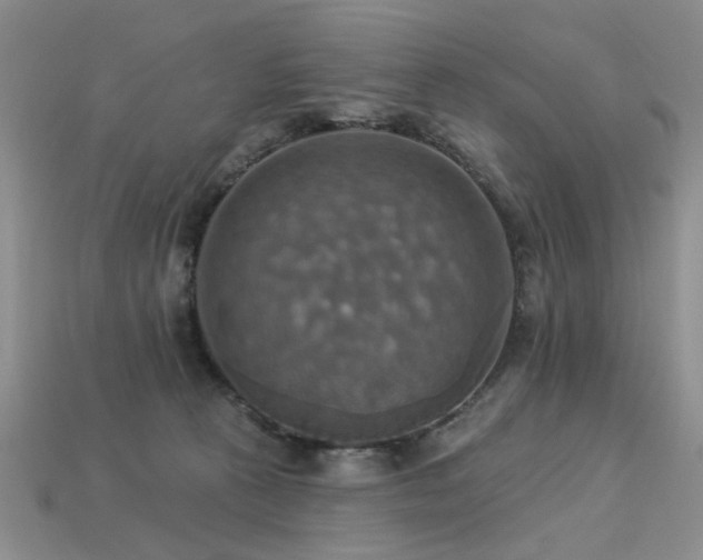 X0000113230273200909101217