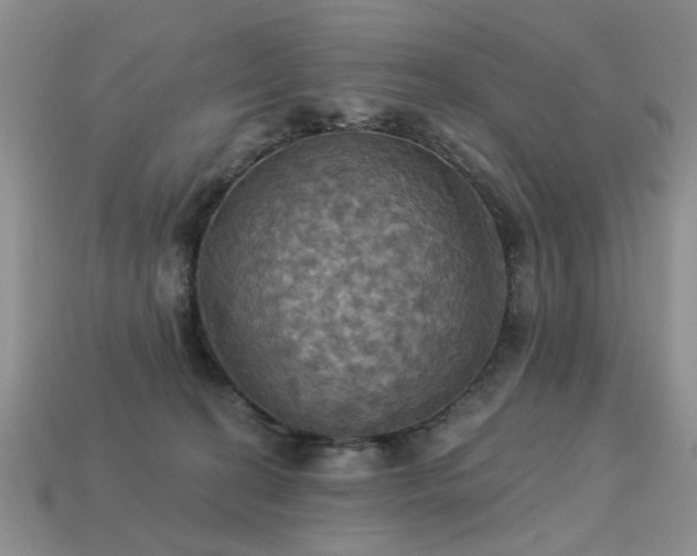X0000113230274200909101217