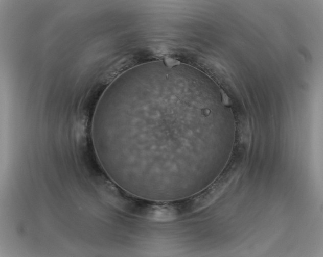 X0000113230275200909101217
