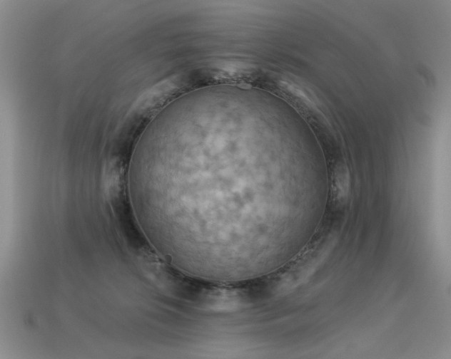 X0000113230276200909101217