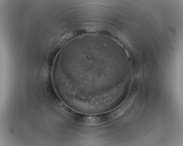X0000113230277200909101217