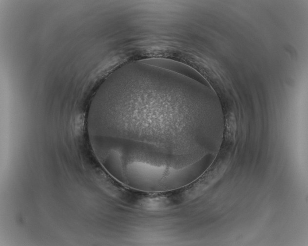 X0000113230278200909101217