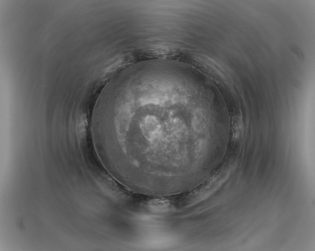 X0000113230279200909101217
