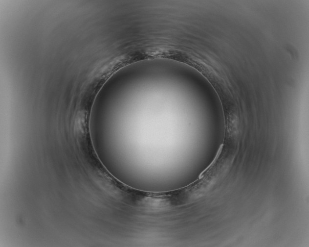 X0000113230280200909101217