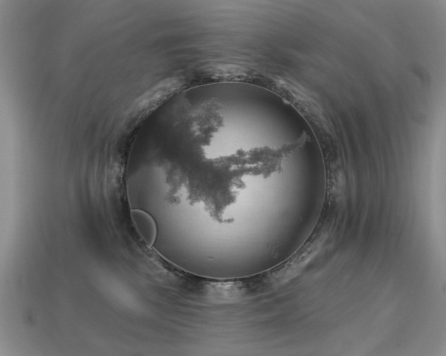 X0000113230281200909101217