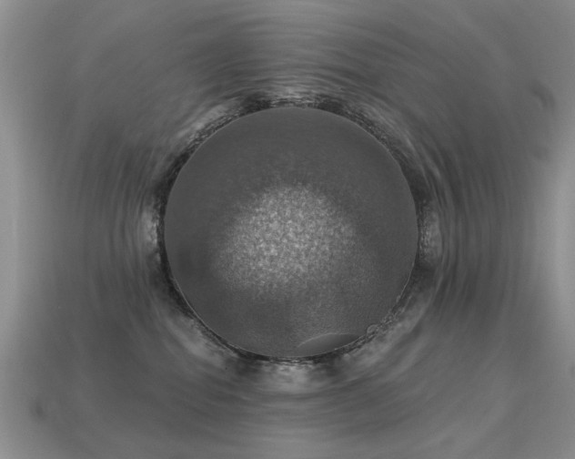 X0000113230282200909101217