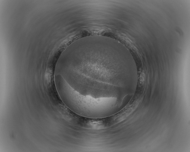 X0000113230283200909101217