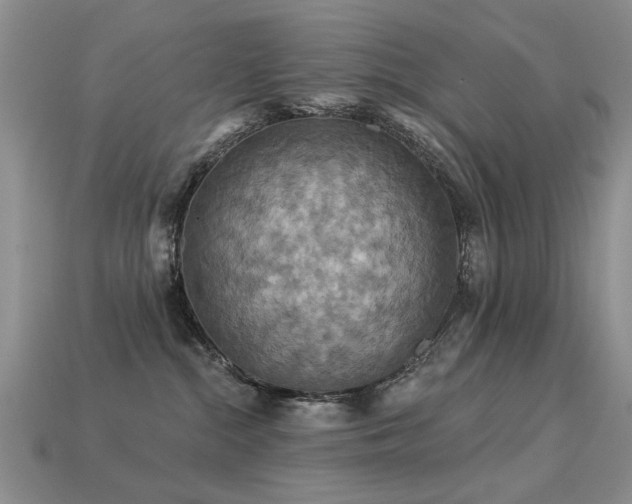 X0000113230284200909101217