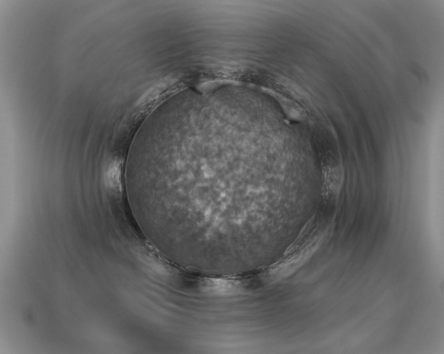 X0000113230286200909101217