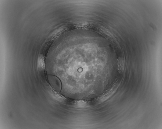 X0000113230287200909101217