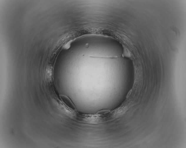 X0000113230288200909101217