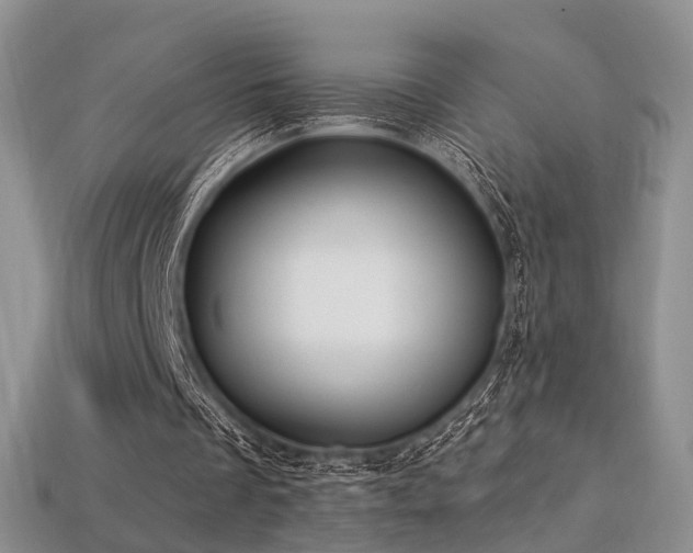 X0000113230289200909101217