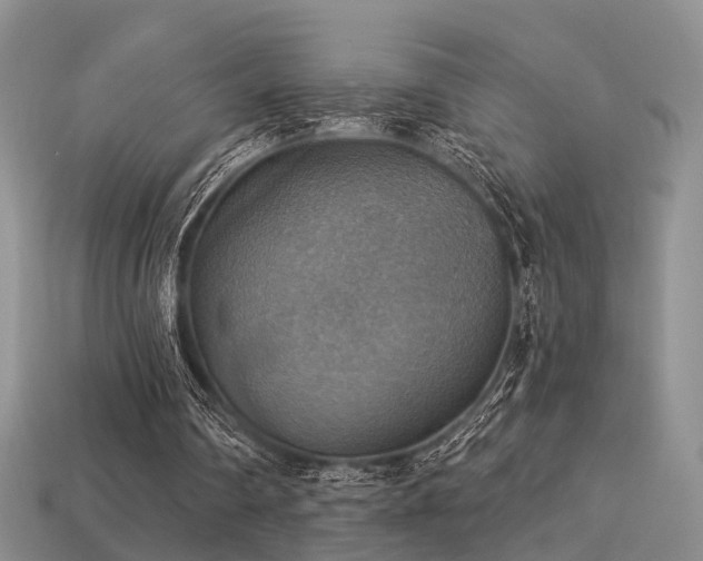 X0000113230290200909101217