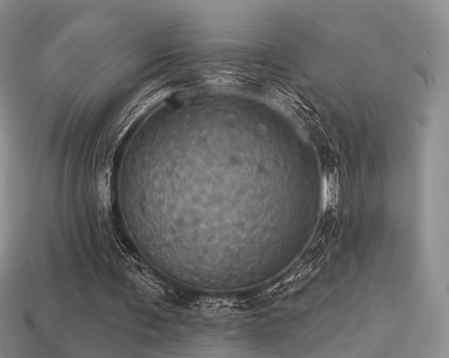 X0000113230291200909101217
