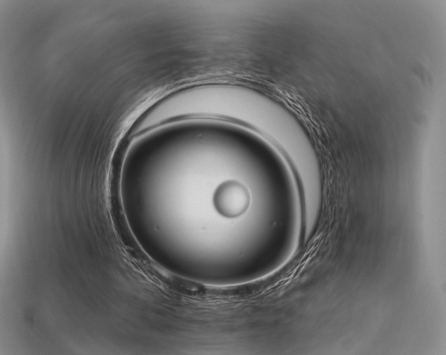 X0000113230292200909101217