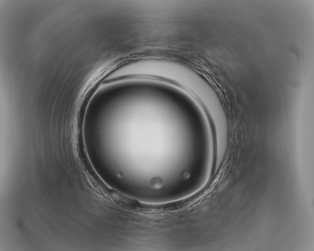 X0000113230293200909101217