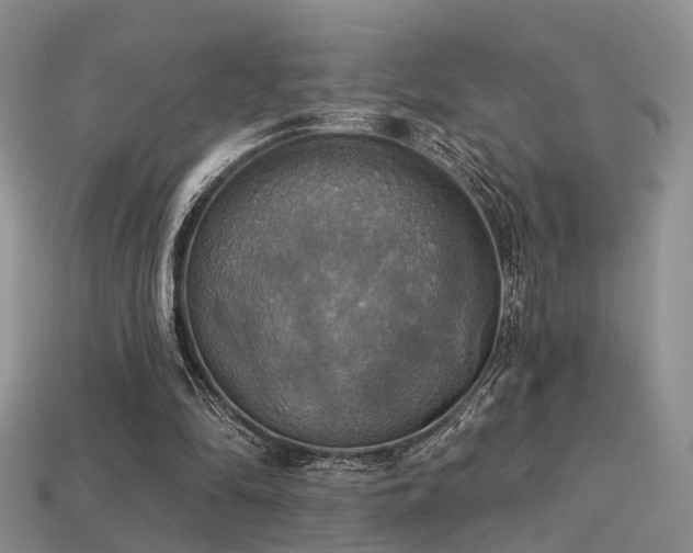 X0000113230294200909101217