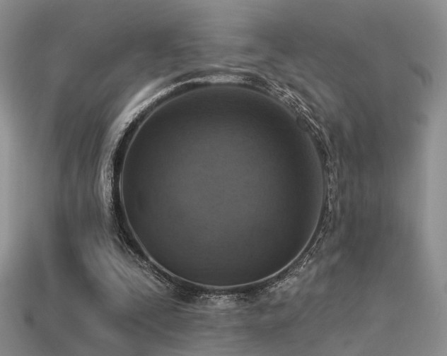 X0000113230295200909101217