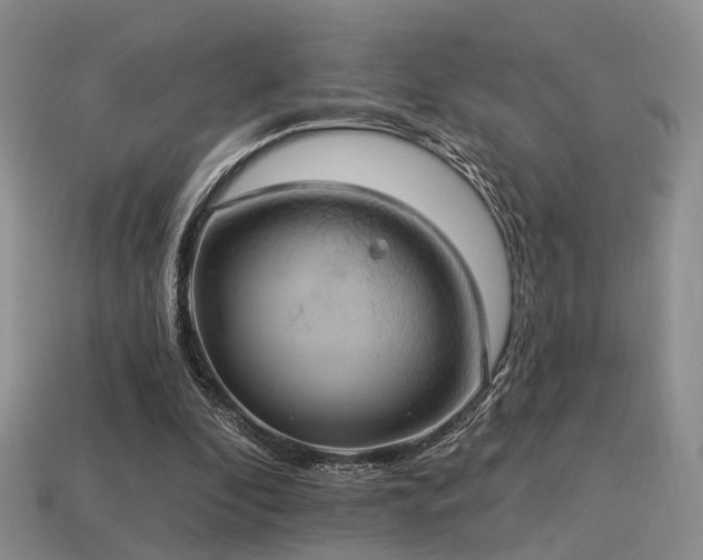 X0000113230296200909101217