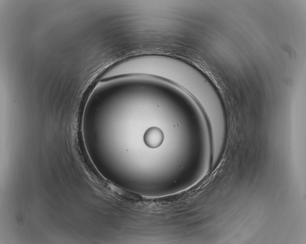 X0000113230297200909101217