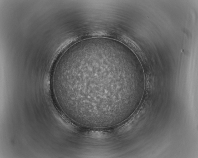 X0000113230298200909101217