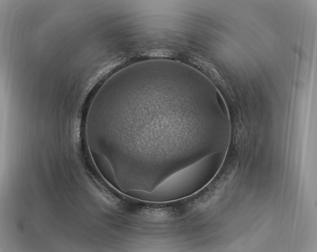 X0000113230299200909101217