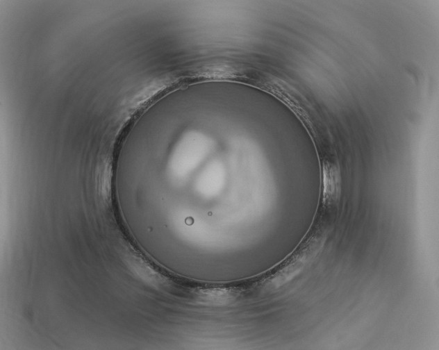 X0000113230301200909101216