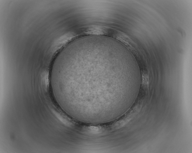 X0000113230302200909101216