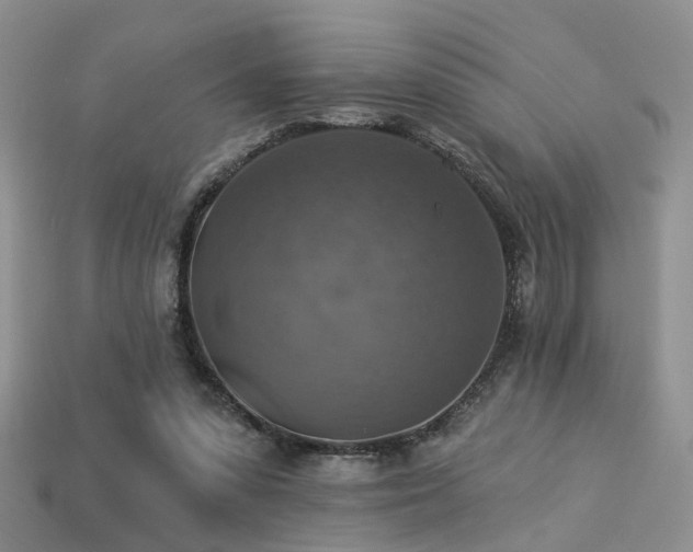 X0000113230303200909101216