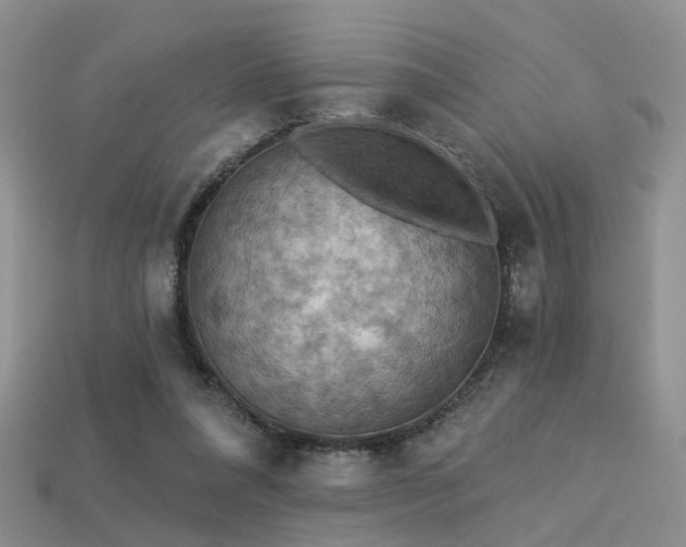 X0000113230304200909101216