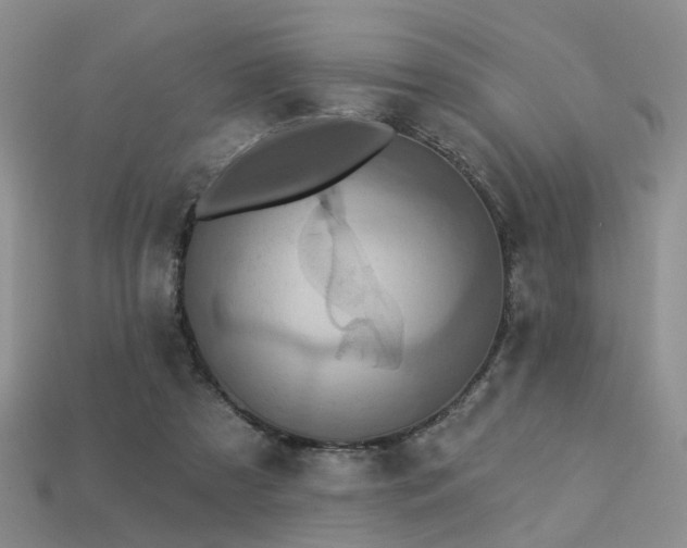 X0000113230305200909101216
