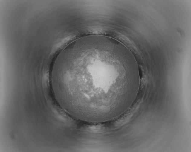 X0000113230306200909101216