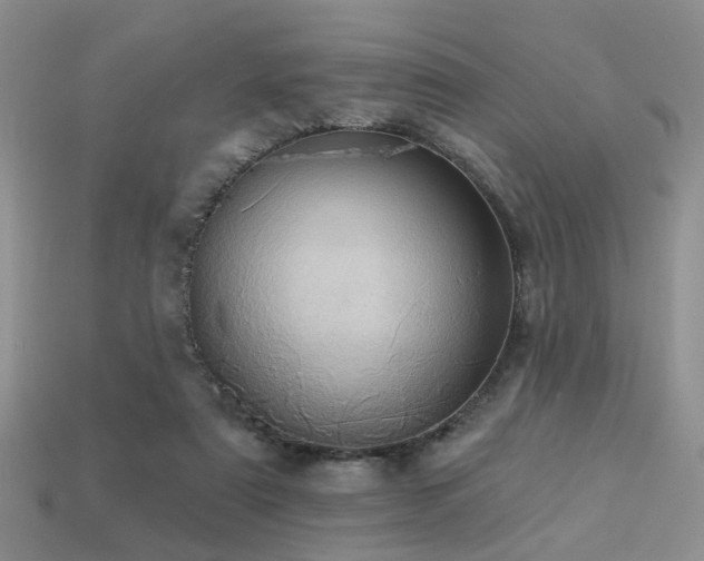 X0000113230307200909101216