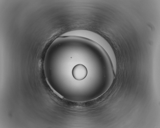 X0000113230308200909101216