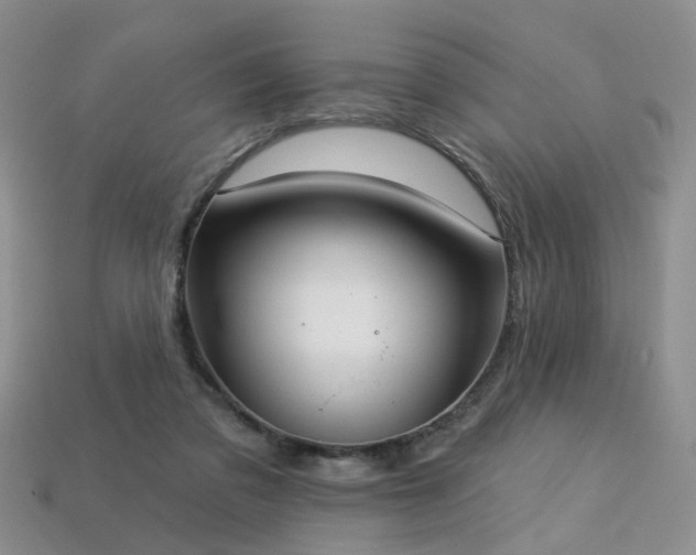 X0000113230309200909101216
