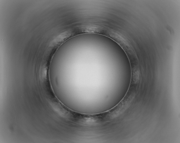 X0000113230310200909101216