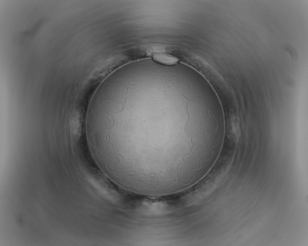 X0000113230311200909101216
