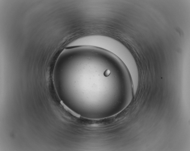 X0000113230312200909101216
